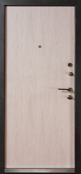 Дверь трехконтурная №6